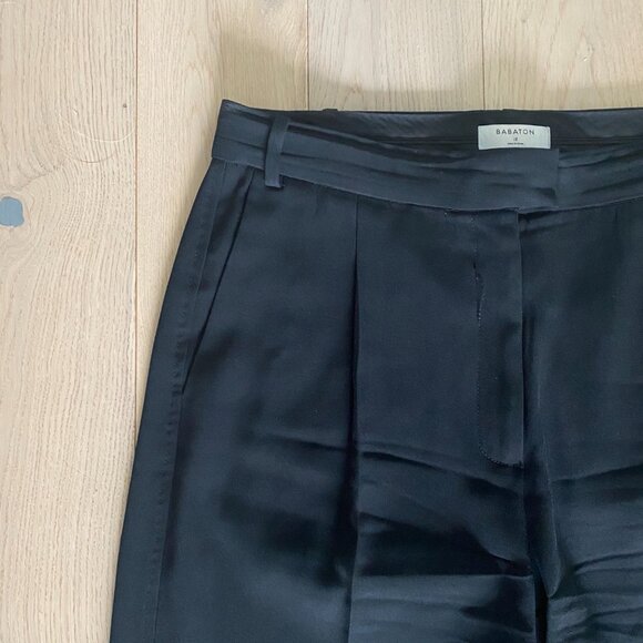 Aritzia Trouser - Picture 2 of 5